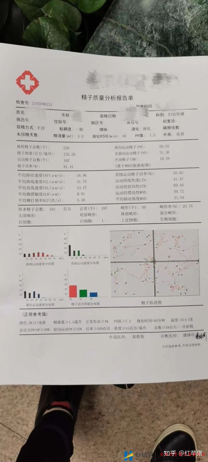 三代试管婴儿一次成功,33岁终于有了自己的孩子!—...(图12) 三代试管婴儿一次成功,33岁终于有了自己的孩子!—...(图12)