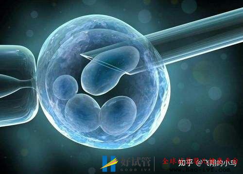 第三代试管龙凤胎需要多少钱(图2) 第三代试管龙凤胎需要多少钱(图2)
