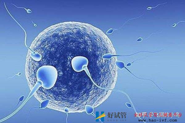 第三代试管龙凤胎需要多少钱(图4) 第三代试管龙凤胎需要多少钱(图4)