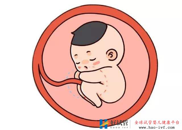 37岁还能做试管婴儿,能成功怀上宝宝吗?(图2) 37岁还能做试管婴儿,能成功怀上宝宝吗?(图2)