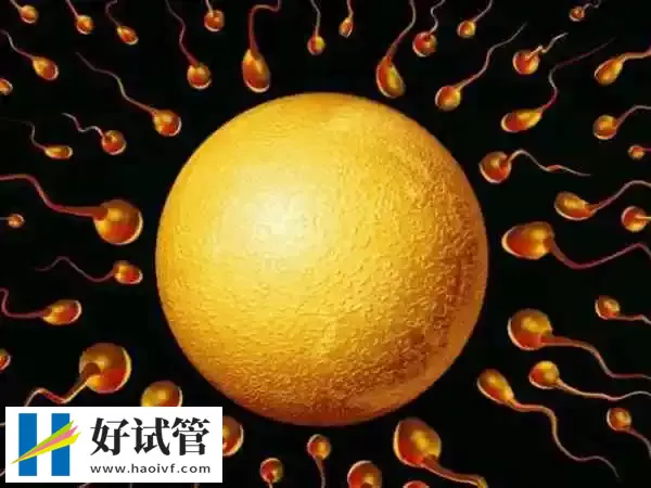 马来西亚第三代试管婴儿优势有哪些?NGS筛查准确率可达99%(图5) 马来西亚第三代试管婴儿优势有哪些?NGS筛查准确率可达99%(图5)
